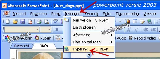 hyperlink in versie 2003